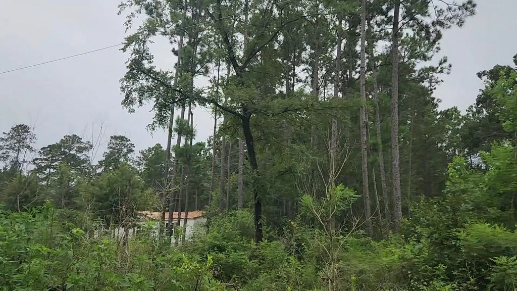 Lot 11 Scarlet Oak Drive, Plantersville