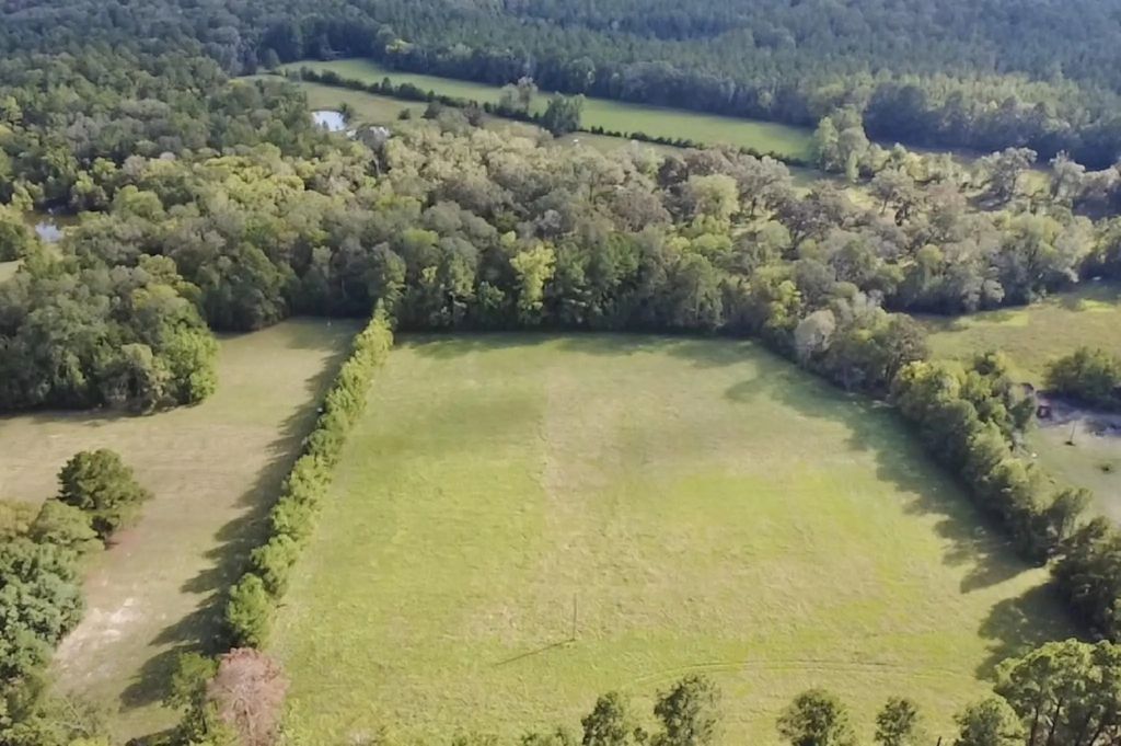 Tbd County Road 3550, Woodville