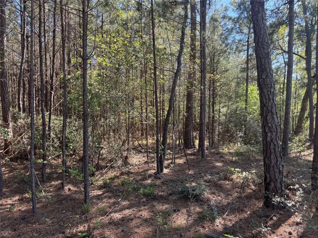 Tract 107 Hwy 156, Coldspring