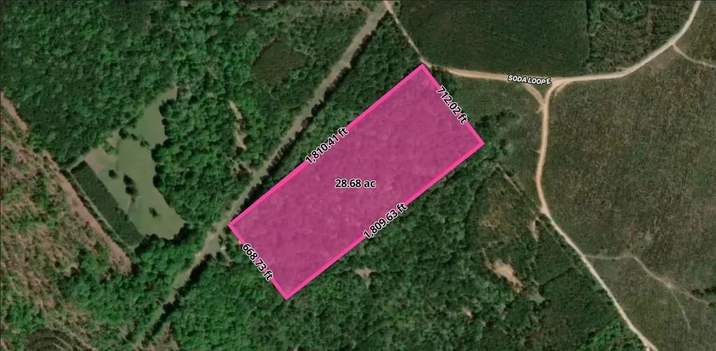 Soda Loop E, Livingston