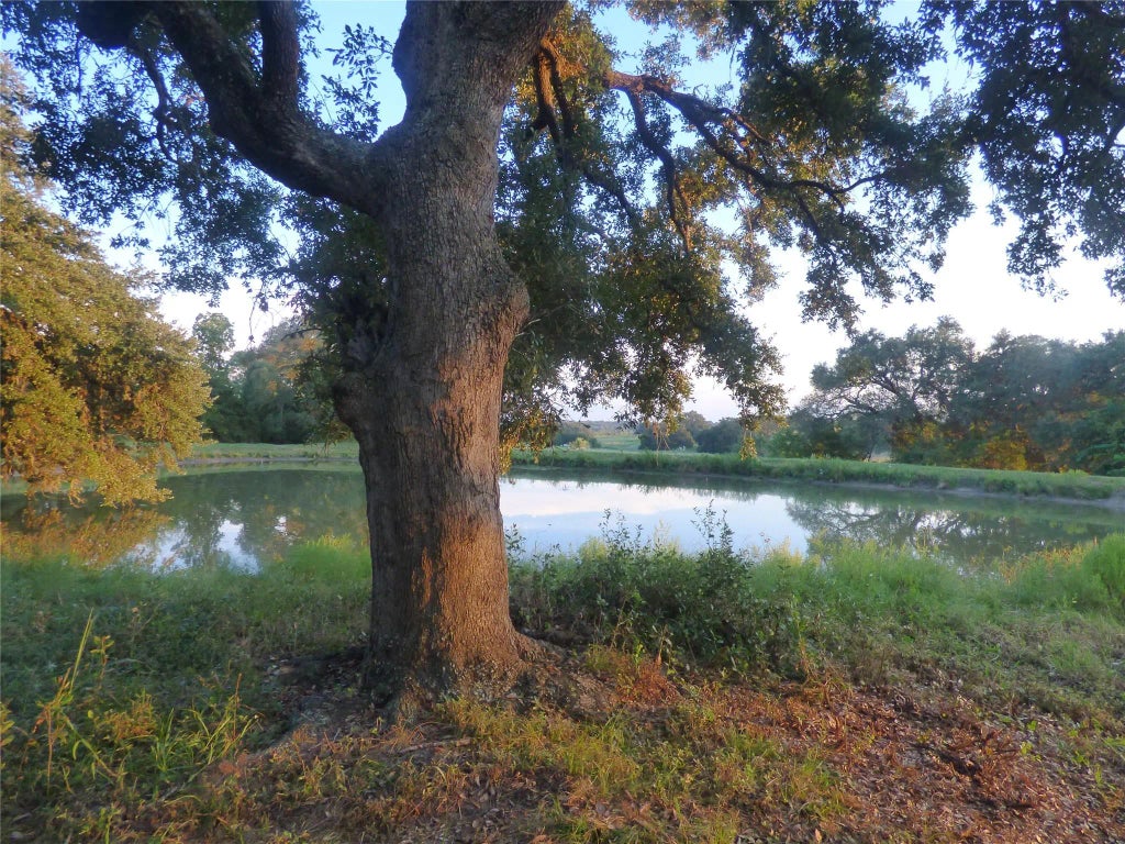 Tbd Mount Vernon Road Nw, Brenham