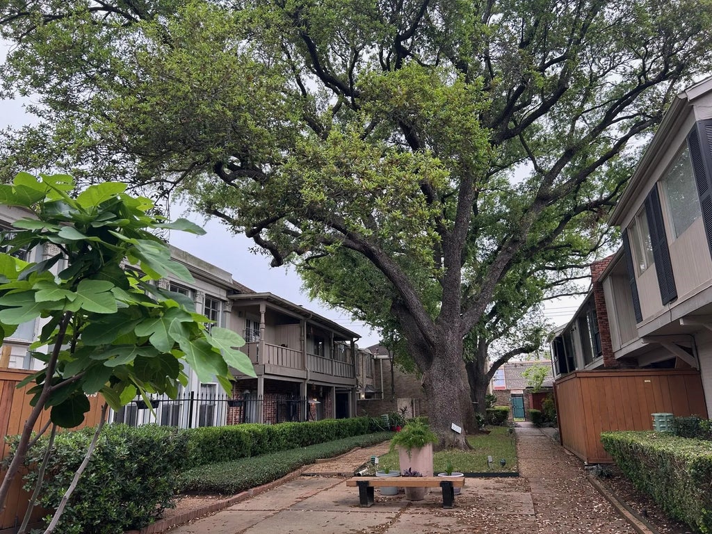 2595 Marilee Lane 4, Houston