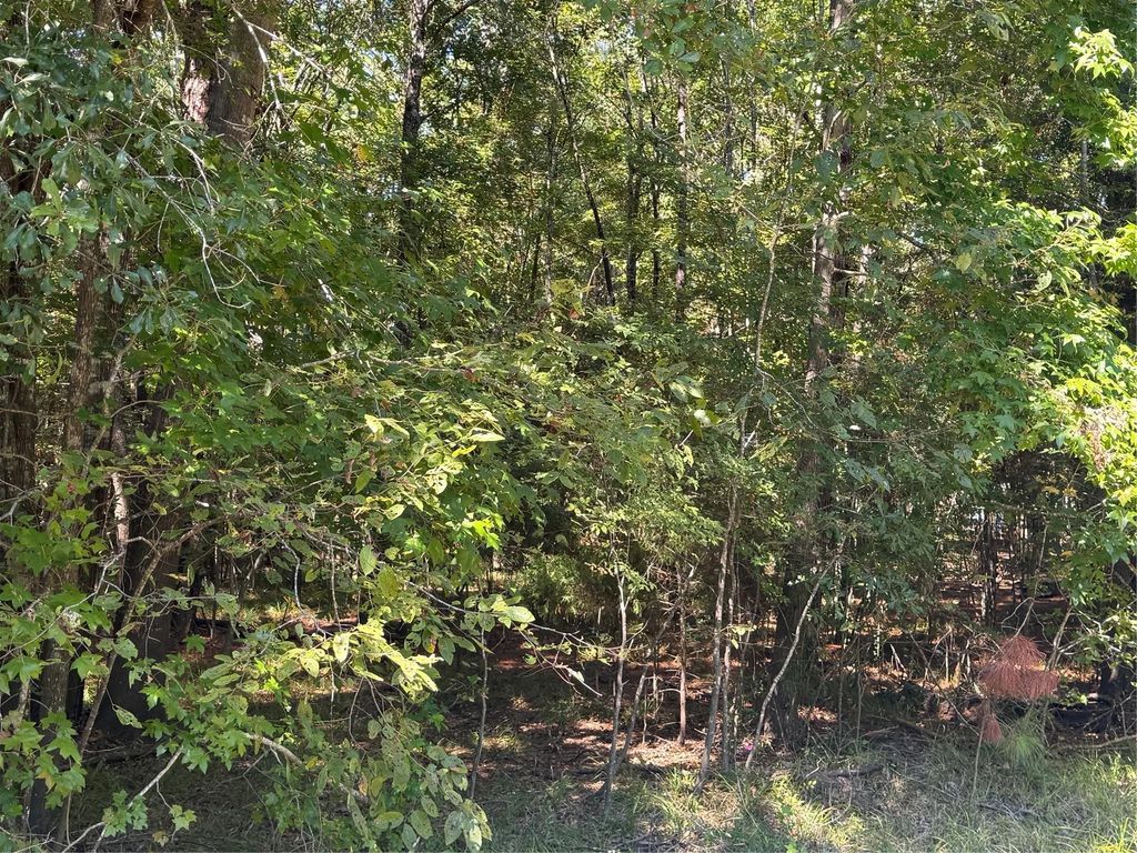 Caney Creek, Huntsville