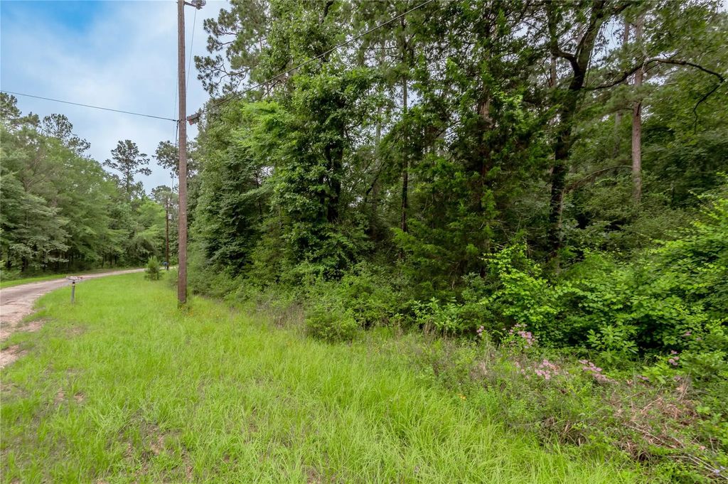 Lot 55 Post Oak Circle, Trinity