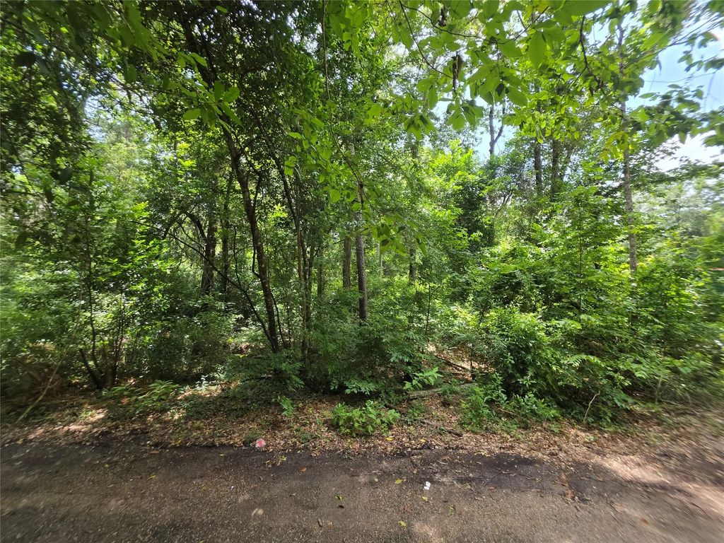 16816 Mimosa Lane, Splendora