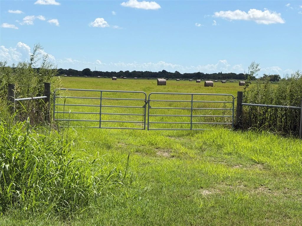 County Road 170, Alvin