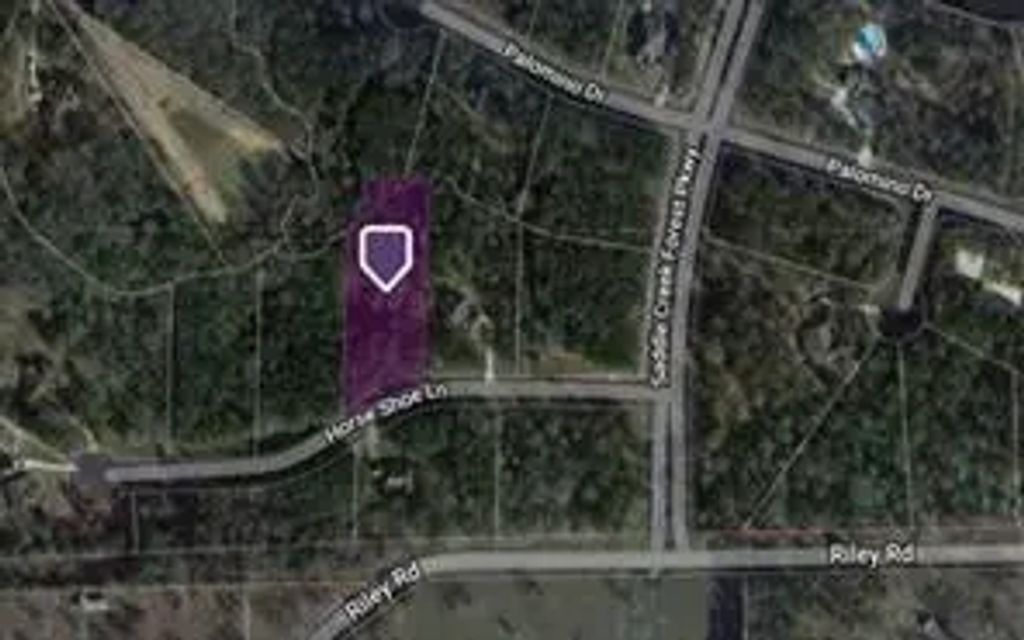 28200 Horse Shoe Lane, Waller