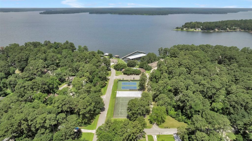 13987 Lakepoint Drive, Willis