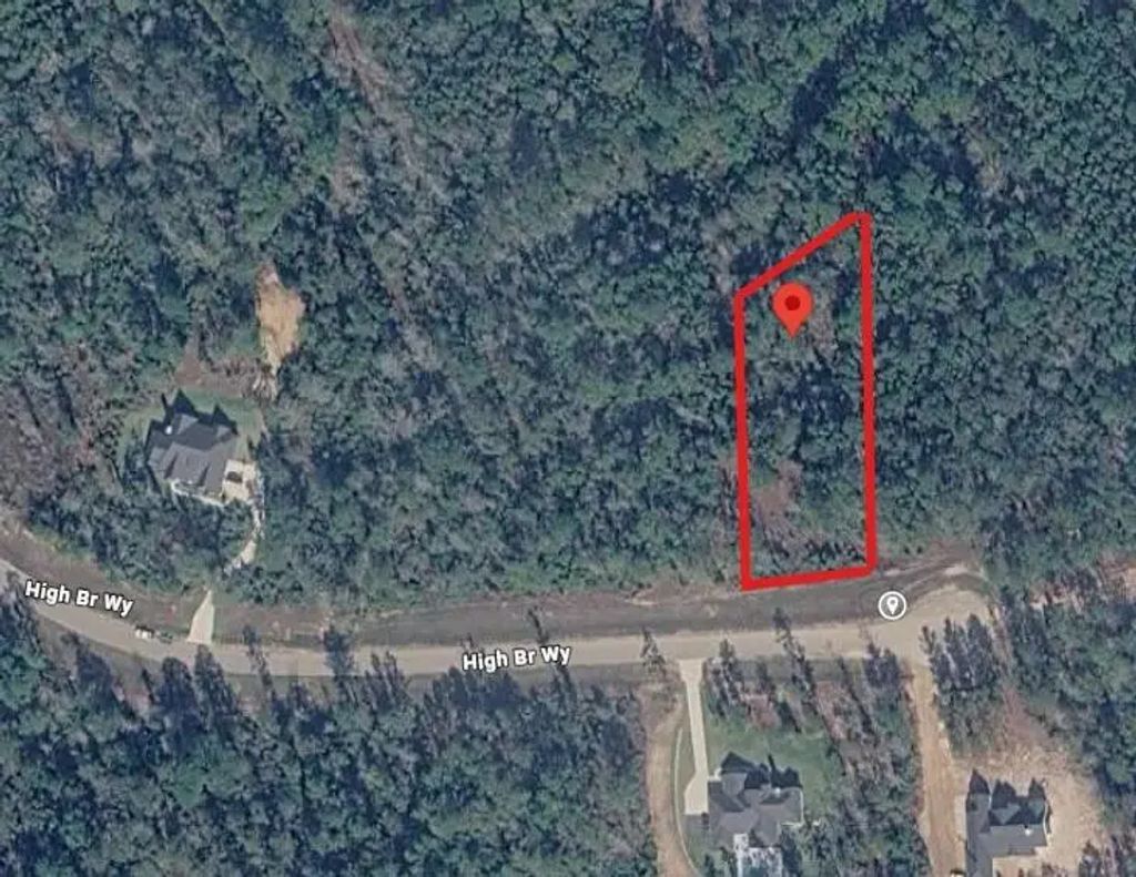 12087 High Branch Way, Willis