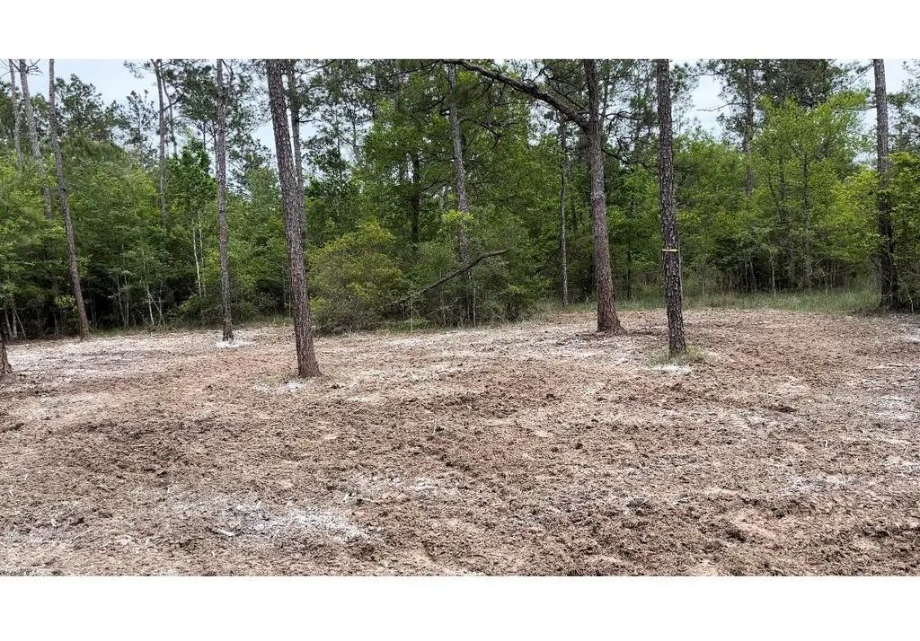 Langham, Kountze