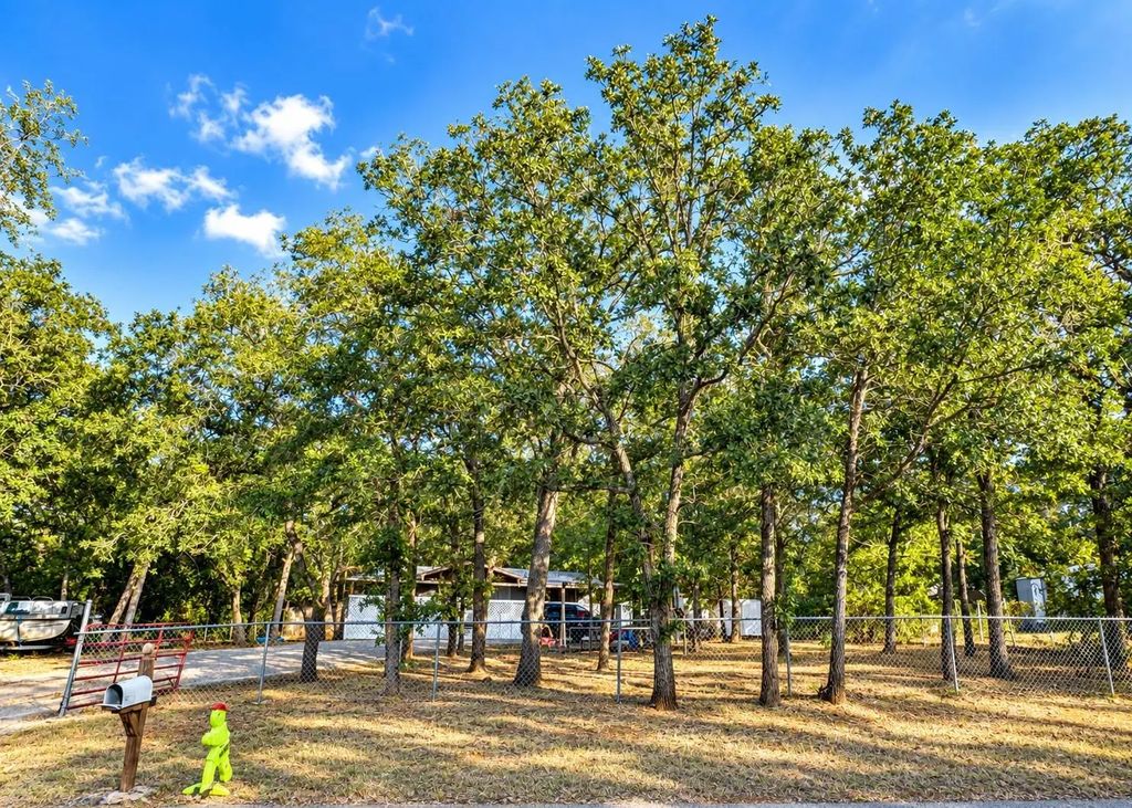 147 Alum Creek Drive, Cedar Creek