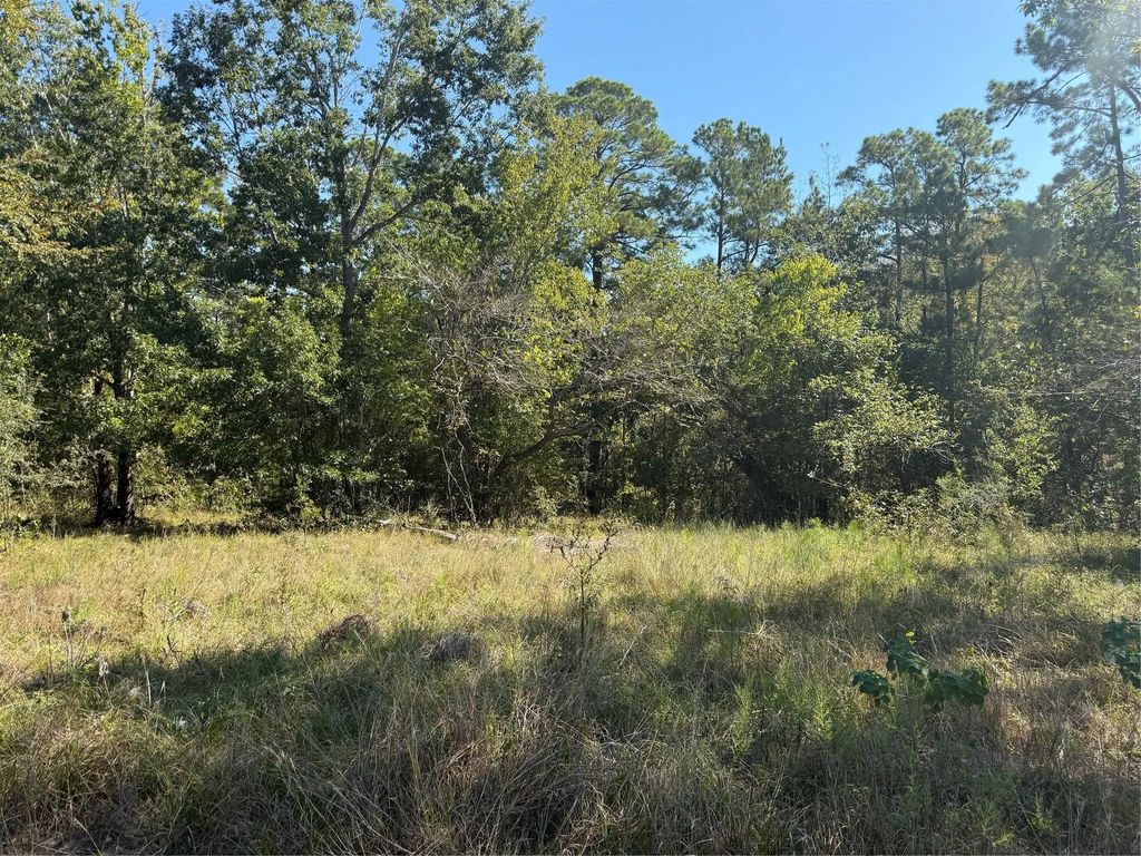 Tbd Shadowood 2 Lane, Coldspring