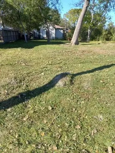 3107 Lelia Street, Houston