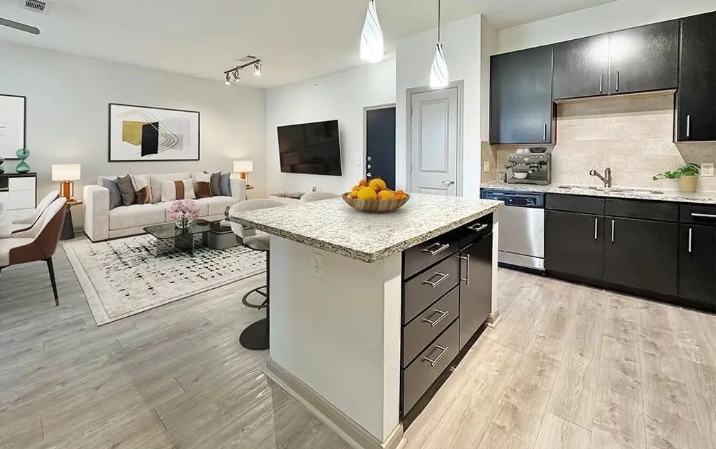 306 Mcgowen Street 4207, Houston