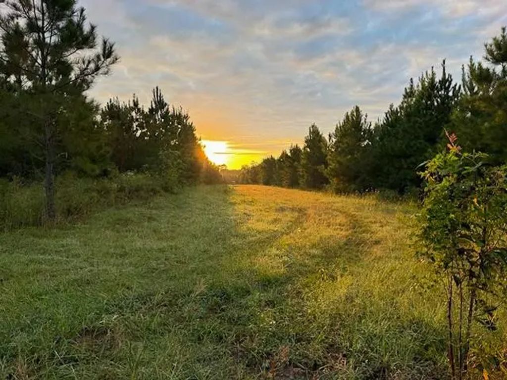 Midway Loop, Livingston
