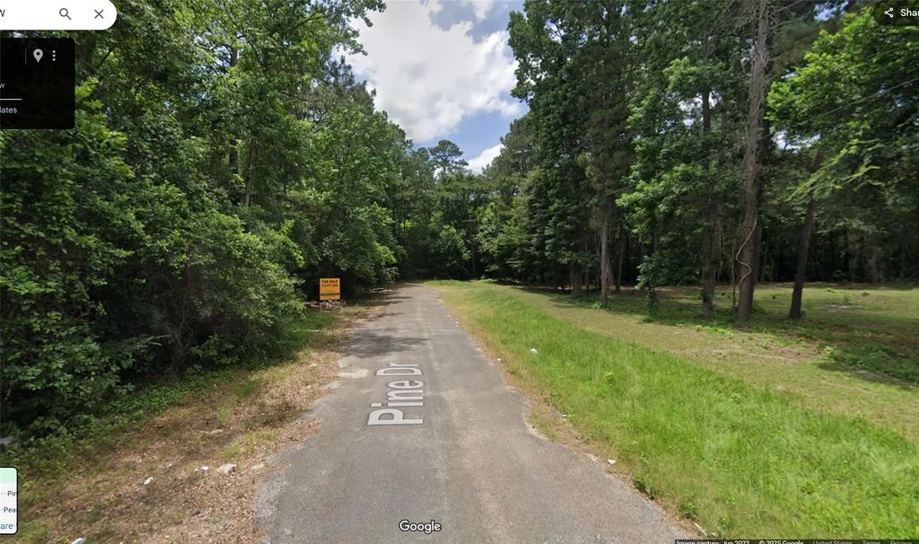 Pine Drive, New Caney