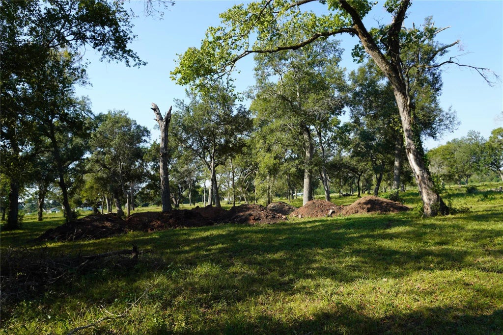 Jerry Road, Richmond