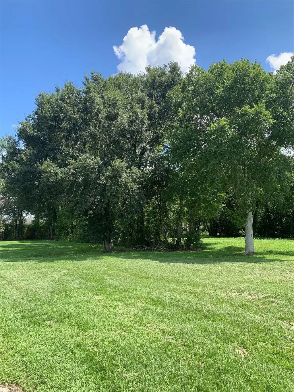 5003 Wilmington Street, Houston