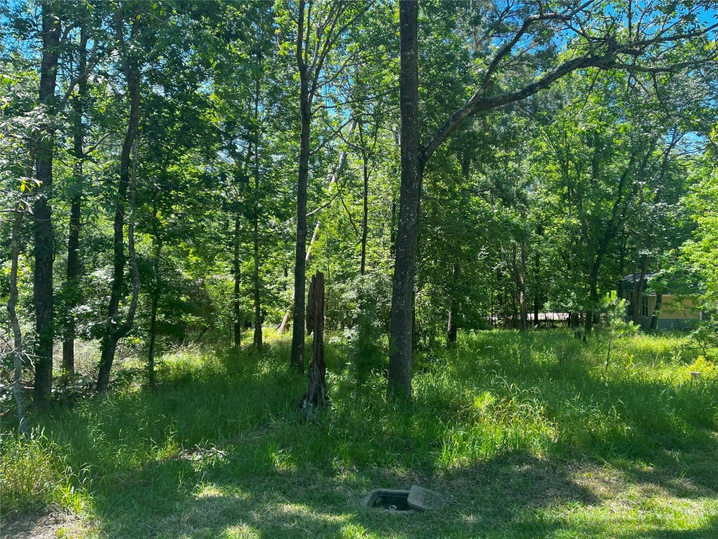 15 Cherry Hills Drive, Coldspring