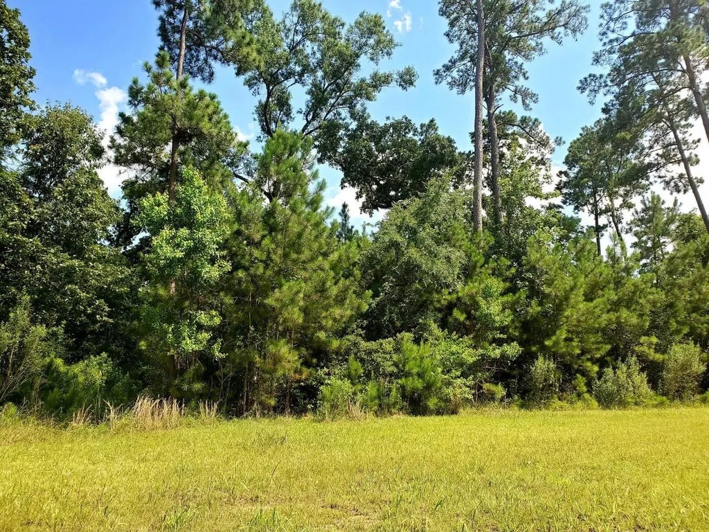 113 Kings Lake Estates Boulevard, Humble