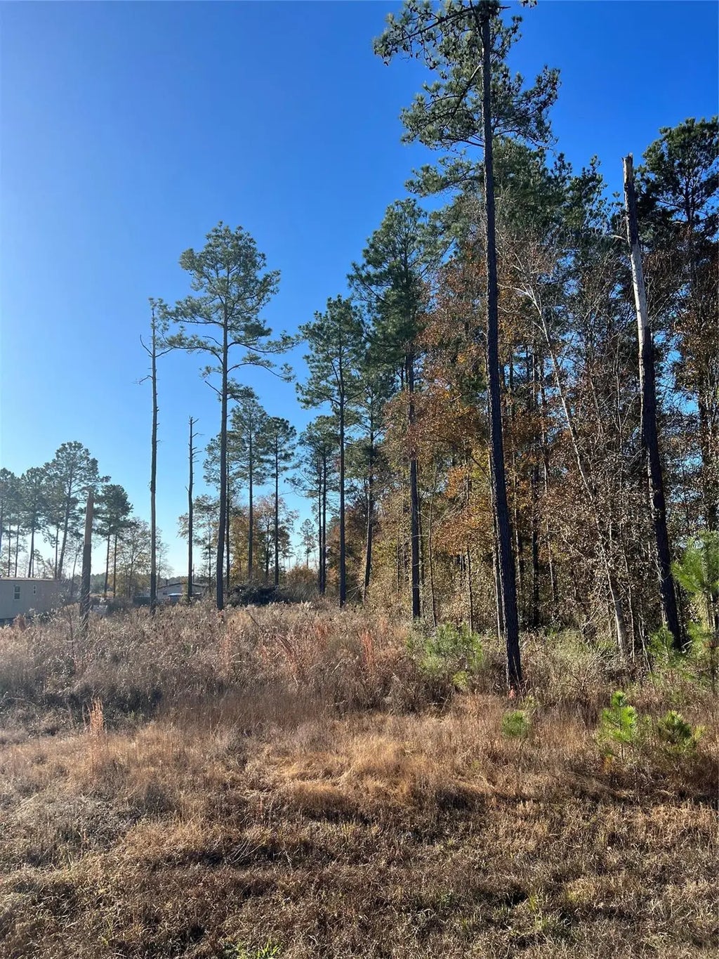 366 County Road 5021, Cleveland