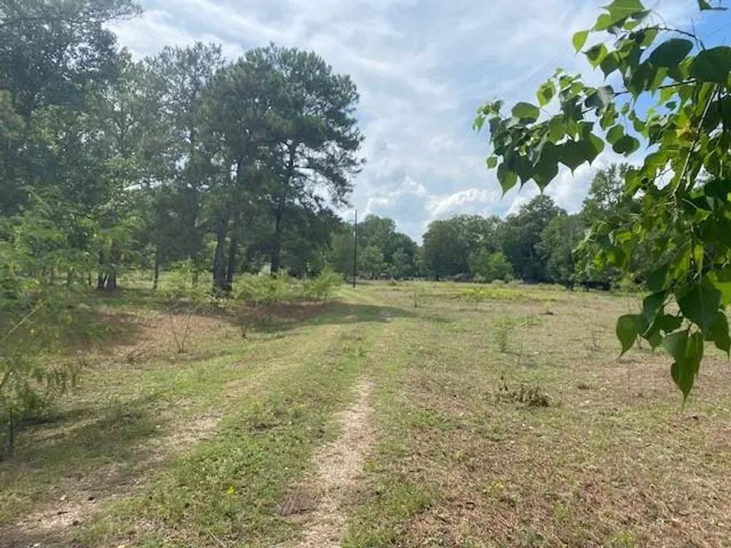 Firetower Road, Conroe