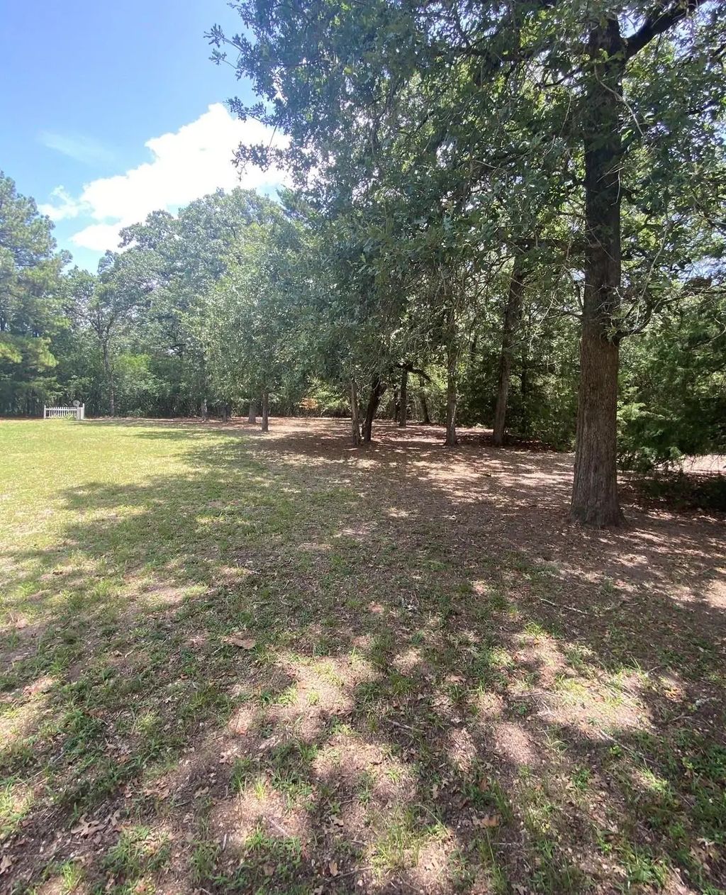 165 Navarro Drive, Hilltop Lakes
