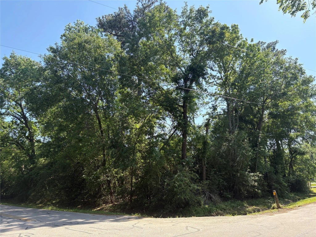 Lt 25 Moss Forest Drive, Houston