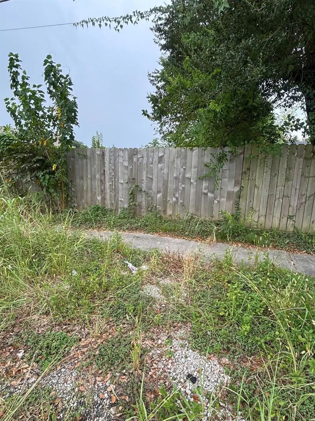 Parker Road, Houston