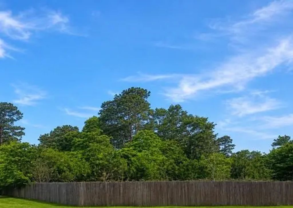 Spanish Oaks Drive, New Caney