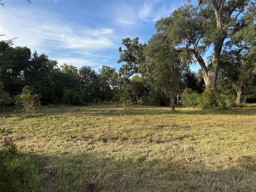 County Road 678, Brazoria