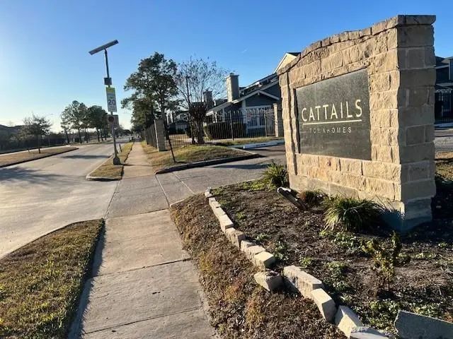 12245 Lemon Ridge Lane 122, Houston
