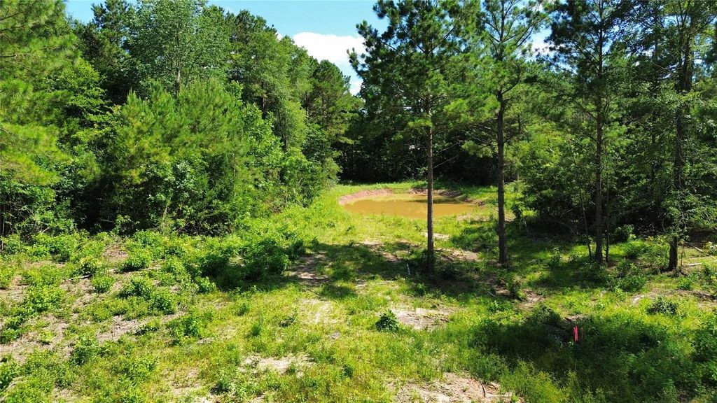 573 Piney Creek Estates Rd, Timpson