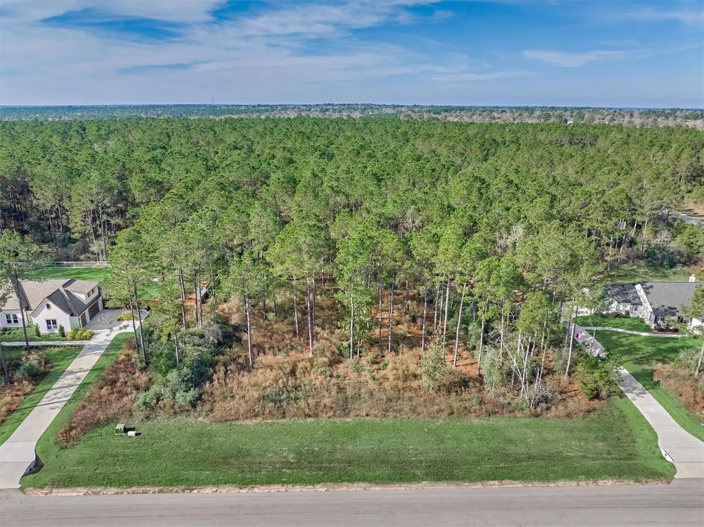 15929 Wood Grove Way, Willis