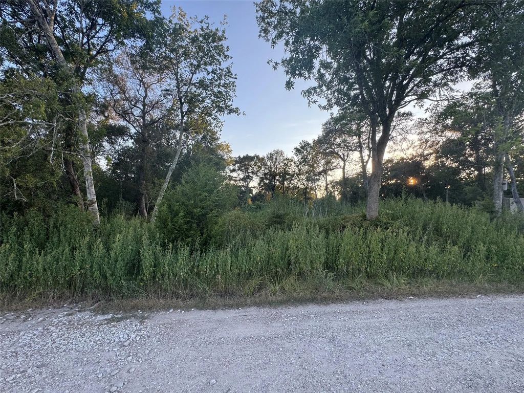20310 Spruce Forest, Richmond