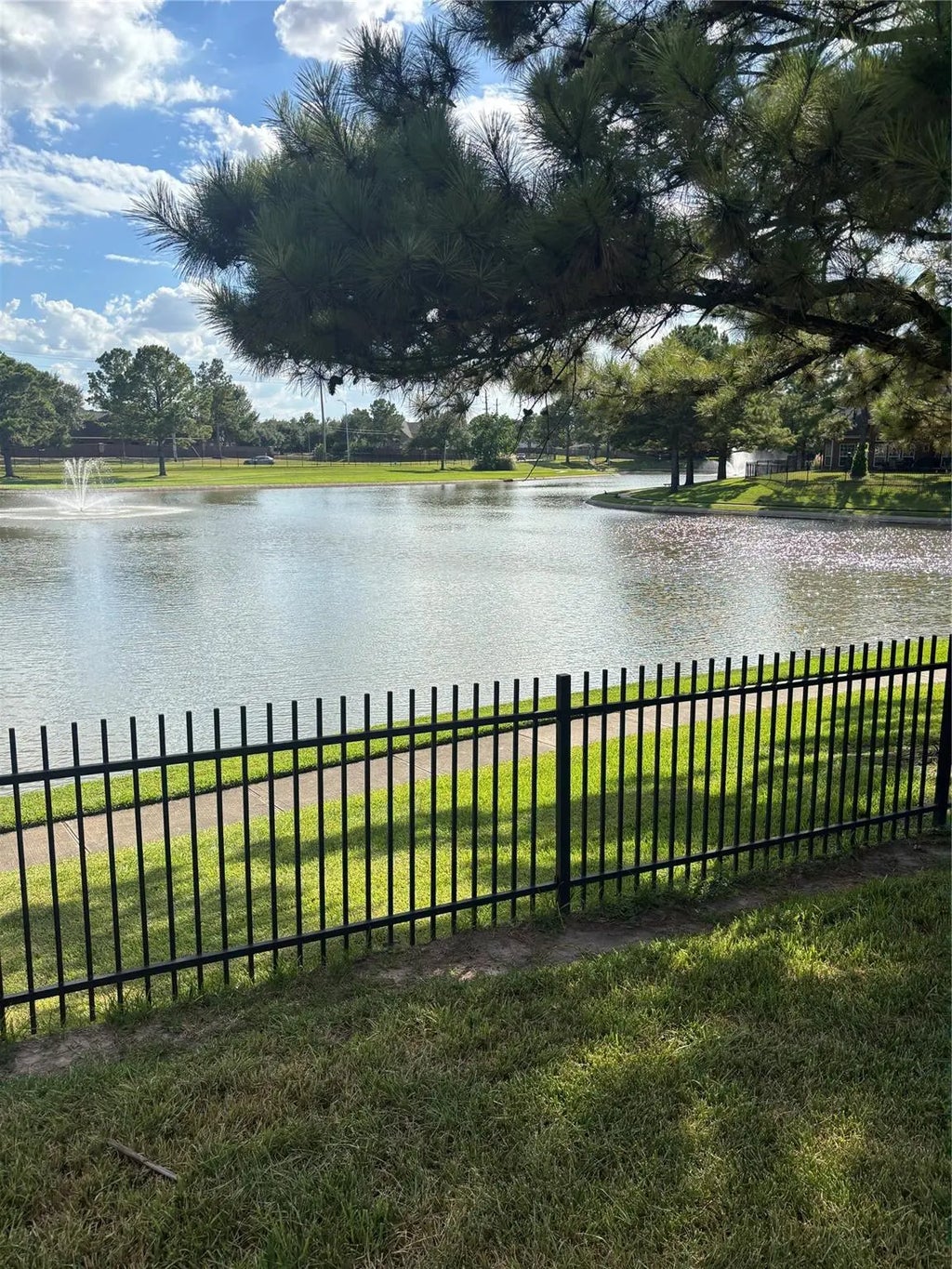 10411 Black Sands Drive, Houston