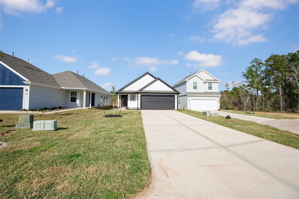 2312 Mooneye Court, Conroe