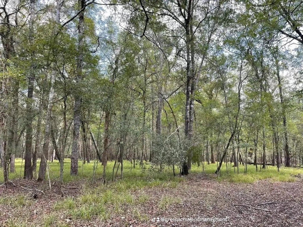 Road 2613, Cleveland