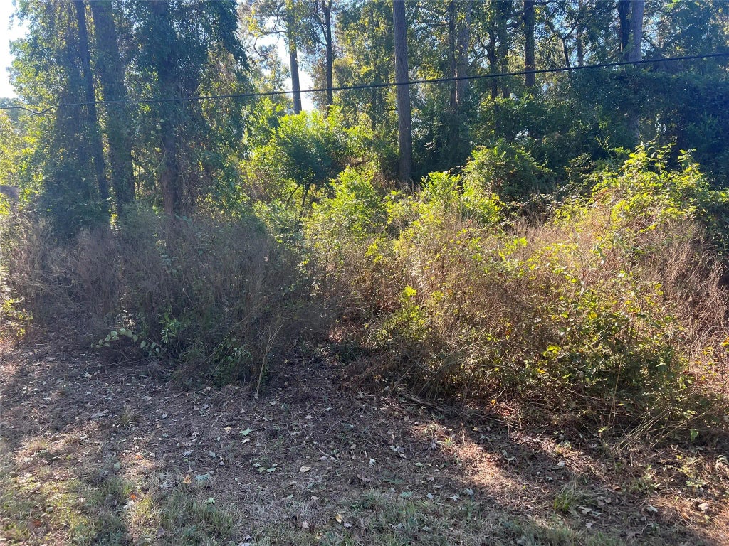 25744 Dogwood Lane, Cleveland