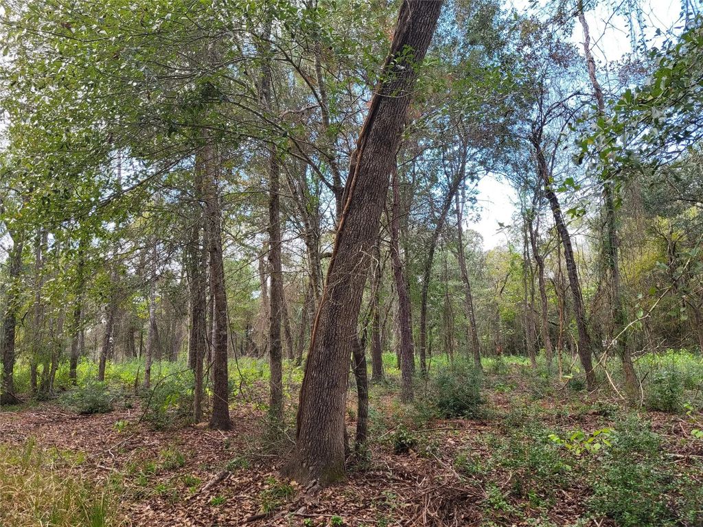 27055 Sandy Creek, Magnolia