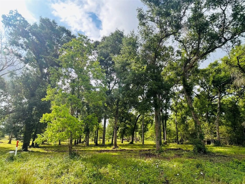 1214 Chuckwagon Court, Angleton