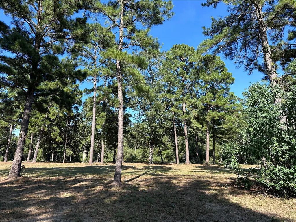 5.3 Ac Tbd Spring Branch Rd, Montgomery