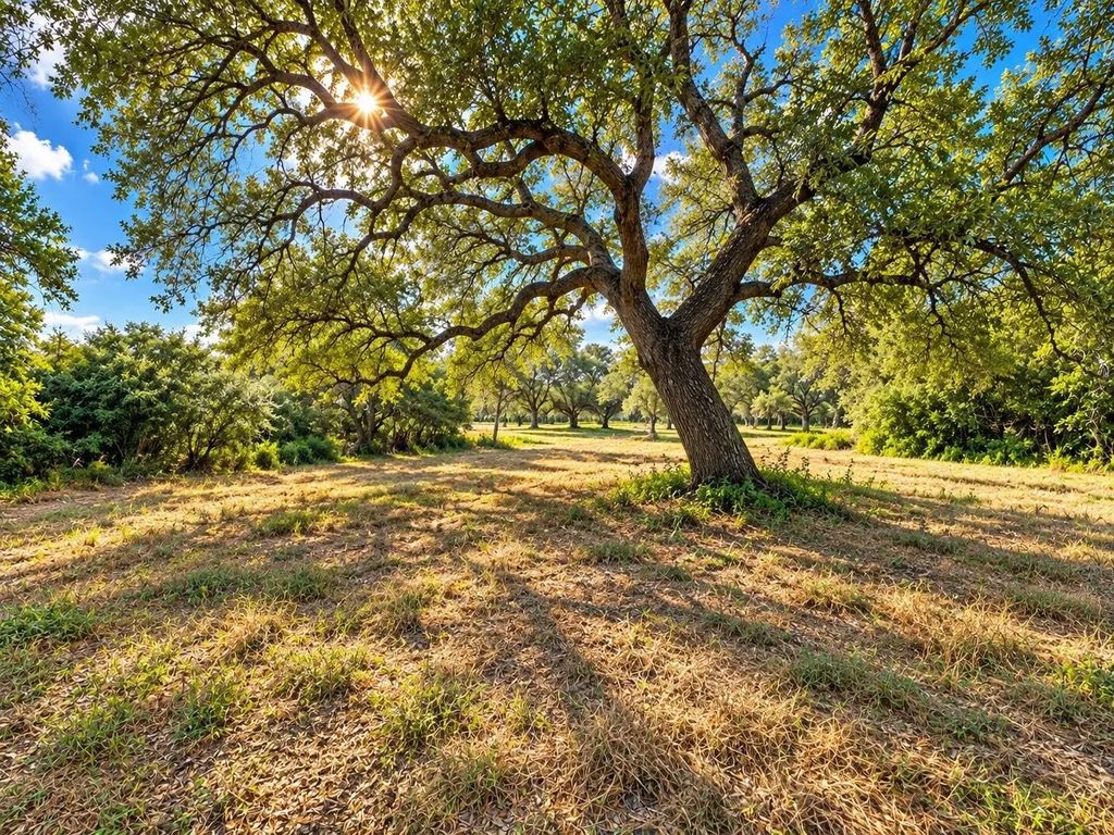 6122 Sand Rock Road, Rutersville