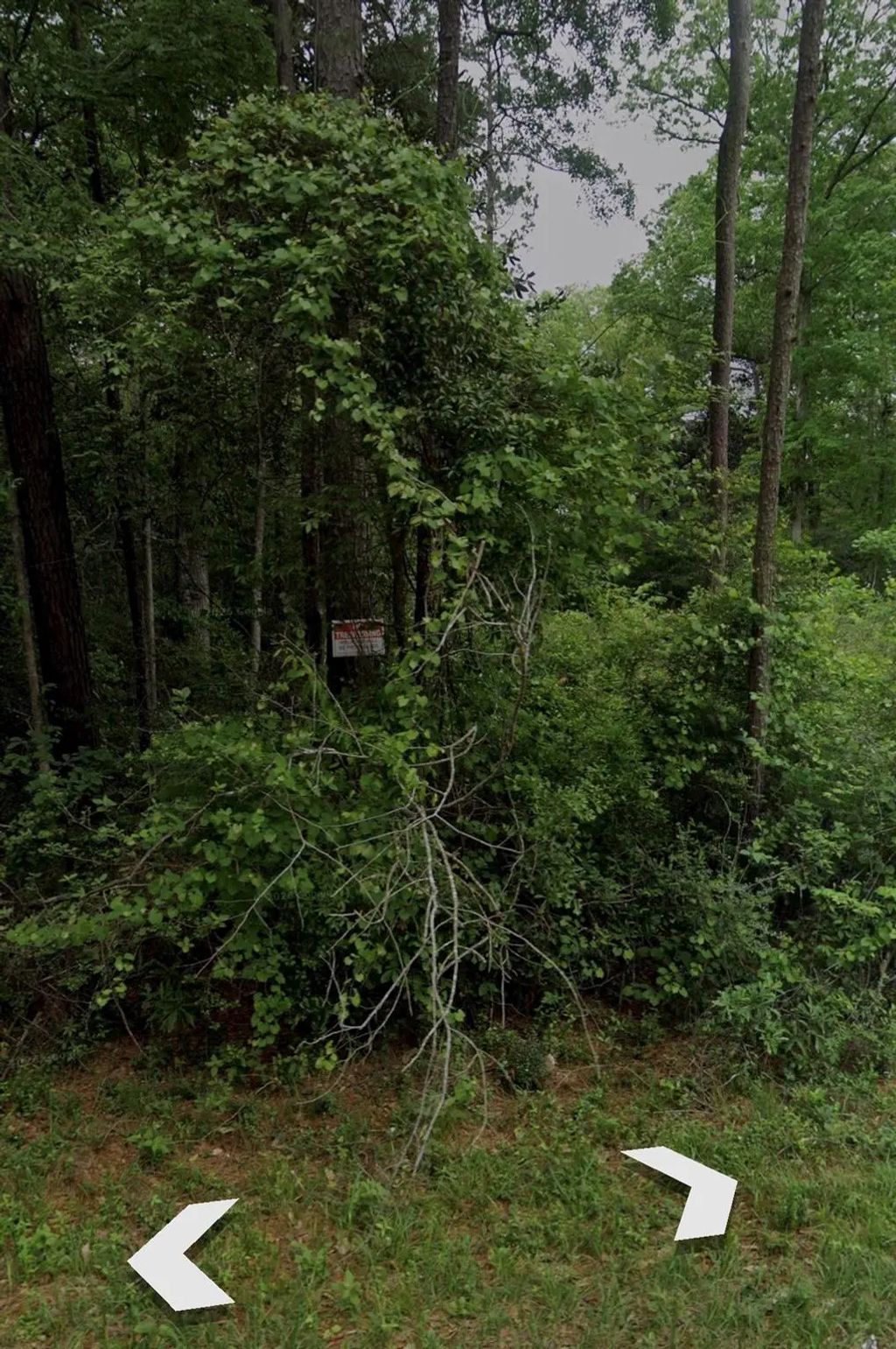 Bitter Creek Drive, Shepherd