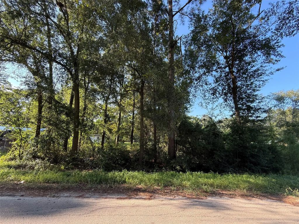 Spanish Oaks Dr, New Caney