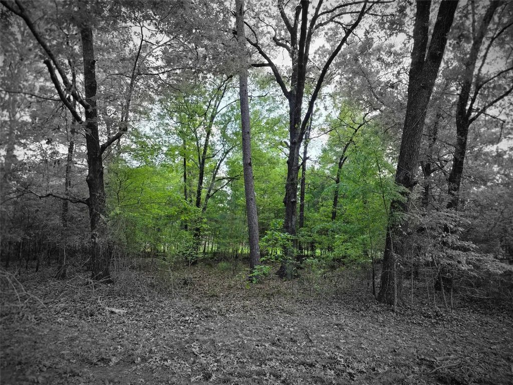 Tbd Lot 25 Bending Oaks Lane, Livingston