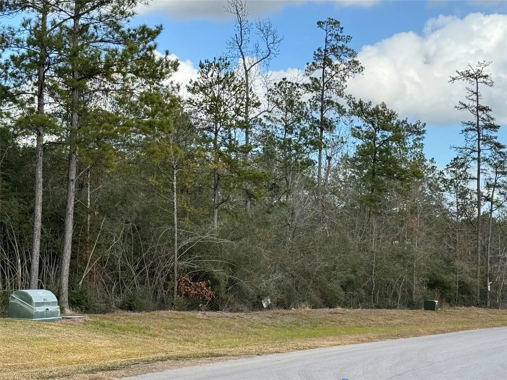 10693 Ruger Road, Willis