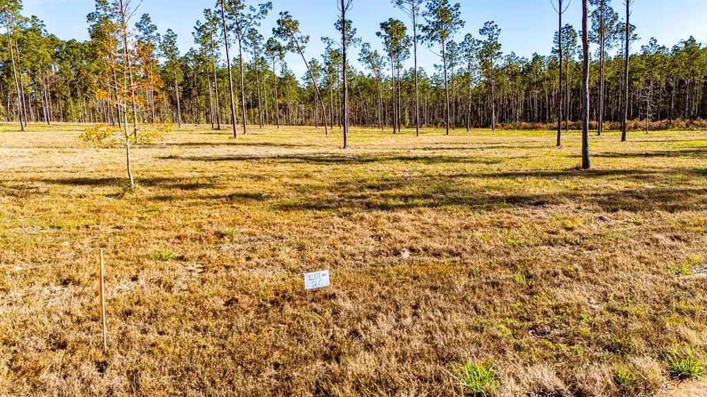 Lot 20 Big Buck Drive, Moscow