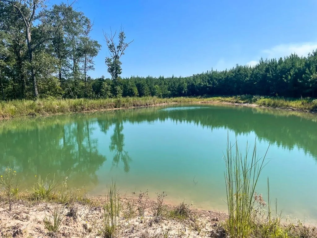 Tbd Union Springs Rd, Corrigan