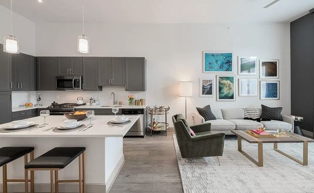 160 Birdsall Street 2309, Houston
